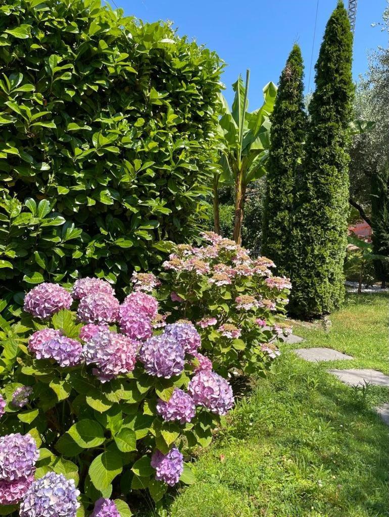 Appartamento La Perla Torri Del Benaco Exteriör bild